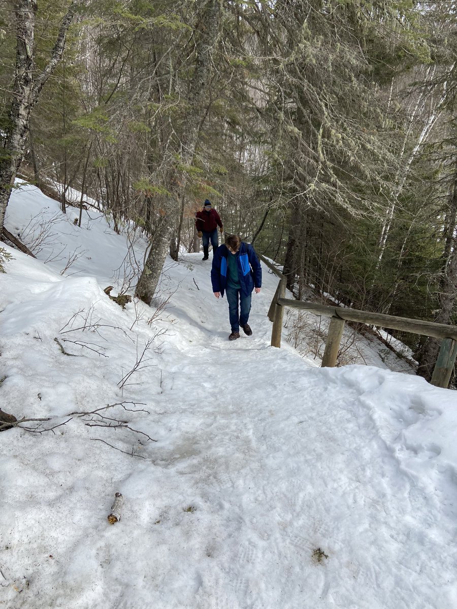 Amy Patton tweet media