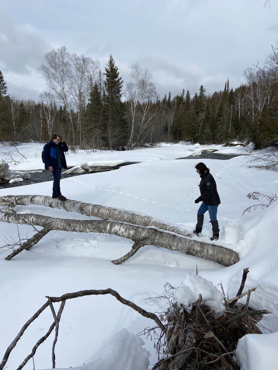 Amy Patton tweet media