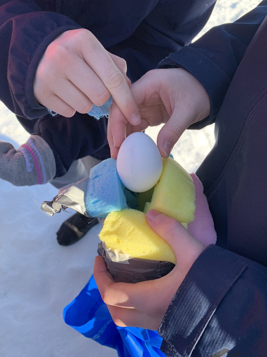 The Big Egg Drop Challenge