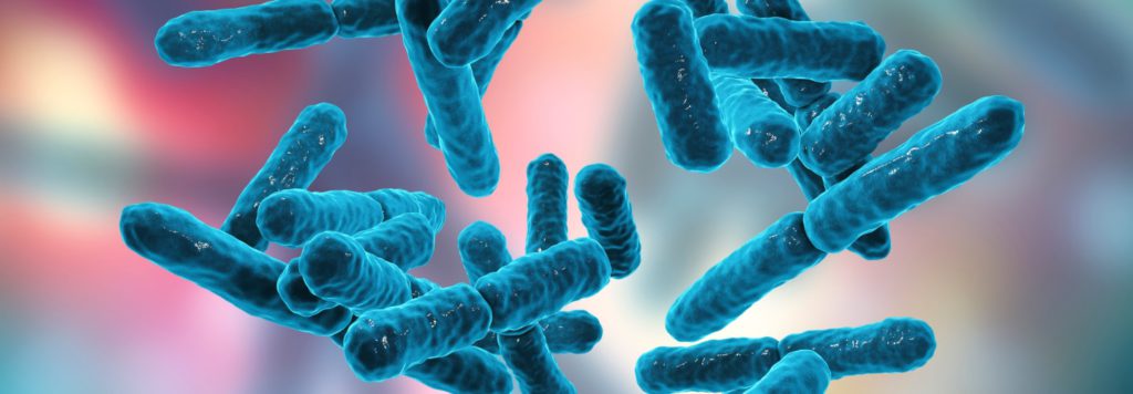 EremidGenomicS's tweet image. SPECIAL OFFER!
Gut &amp;amp; Soil #MicrobiomeAnalysis

Learn more: 22417979.hs-sites.com/microbiome-ana…

#microbiome #sequencing