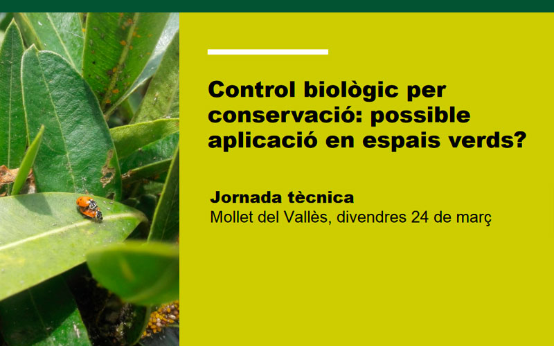 apevcat's tweet photo. El grup #GIP de l'APEVC impartirà la #Jornadatècnica: Control biològic per conservació: possible aplicació en espais verds?, #espaisverds #GIP #controlplagues #verdurba #curs

🗓 Divendres 24 de març
📍 Mollet del Vallès

Més informació: https://t.co/2RctKPHKs0 https://t.co/99wYOBuZJS