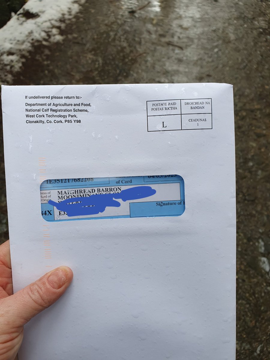 Abandon the panic stations, the snow &amp; postman brought the goods 👌🏻