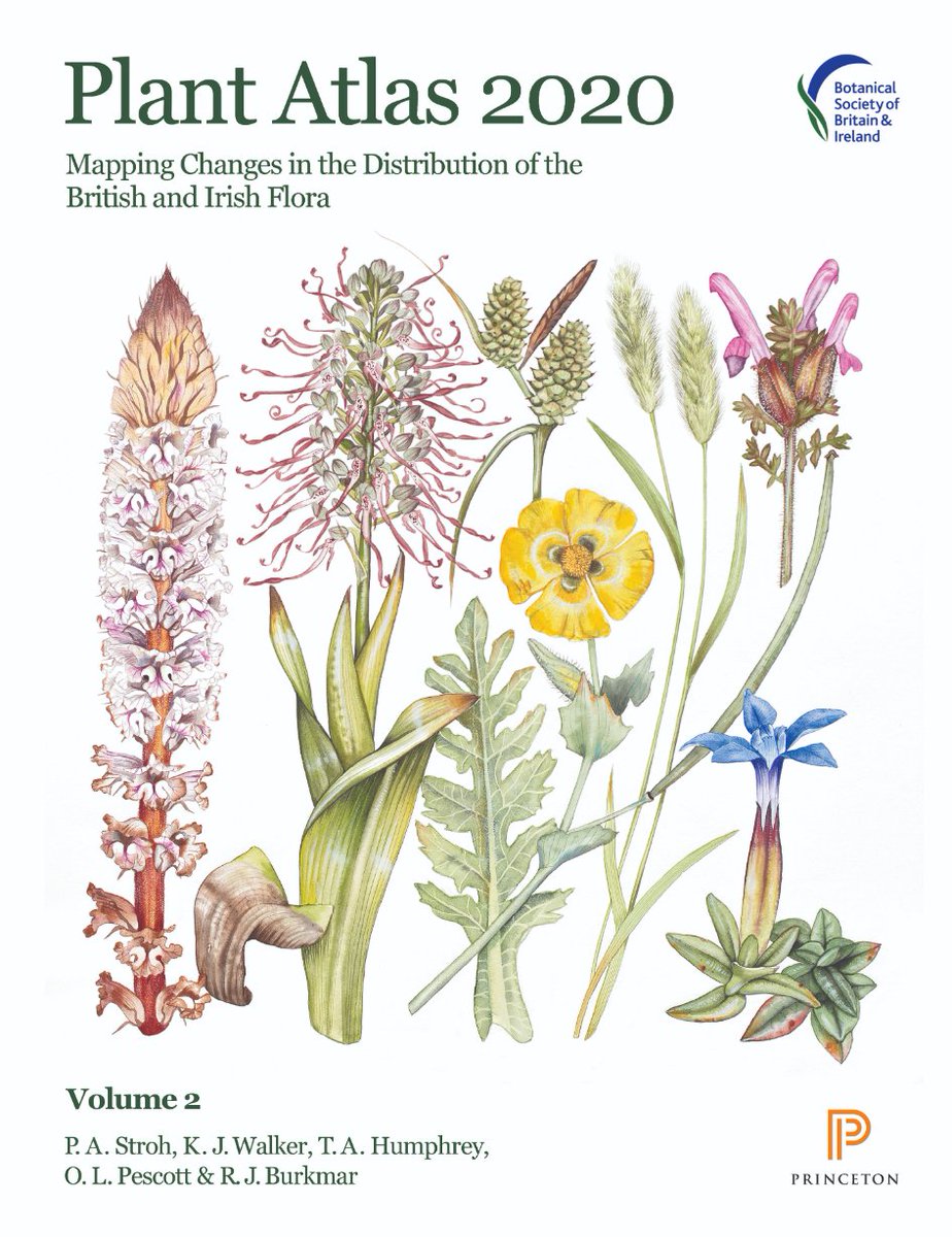 NatureNymph's tweet photo. .@MichelineShSk is 1st female Irish prez of @BSBIbotany raising alarm bells once more on 56%⬇️of native plants in Ireland since last atlas. Not enough being done to reward farmers to support biodiversity in 🇮🇪. We forget that we depend on this biodiversity. #PlantAtlas2020 https://t.co/bpS3Wn1QVU