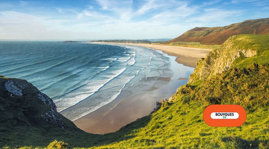 Construction Wave tweet media