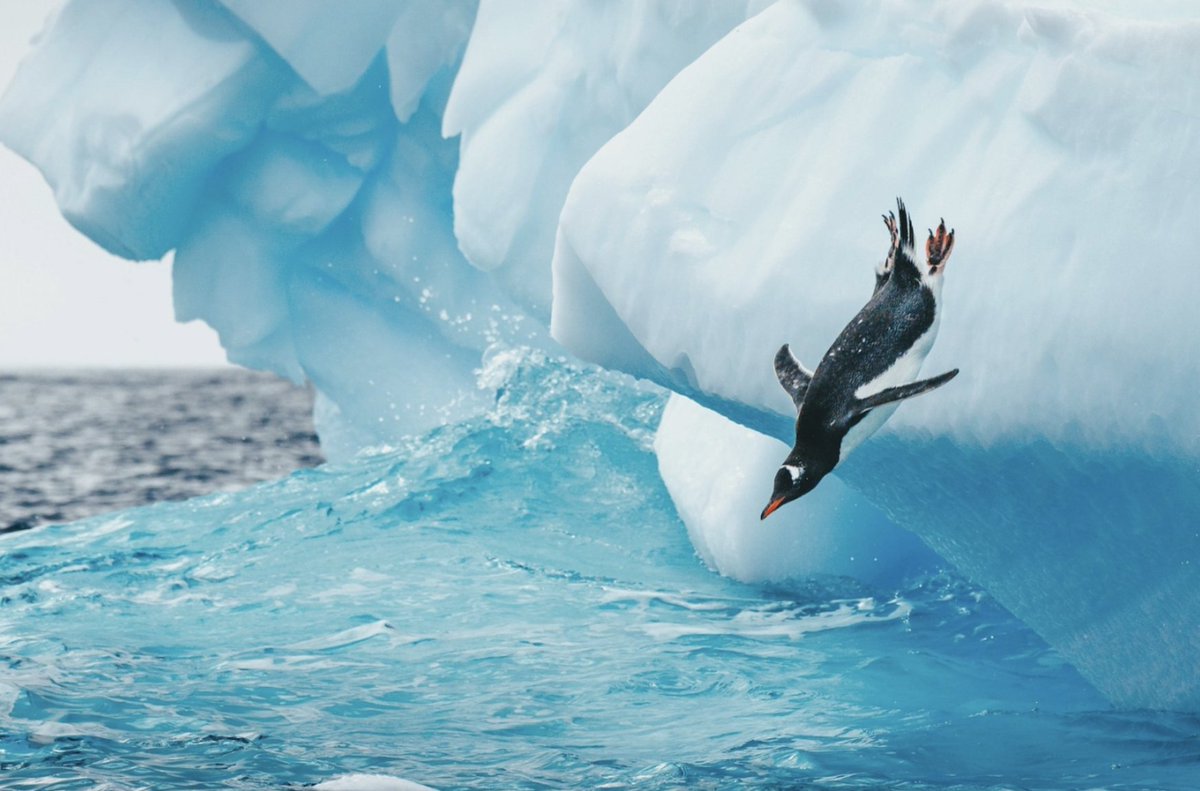 slicedbrand's tweet image. Co-Founder and CEO of @dataloopai, Eran Shlomo shares his tips with @TechCrunch on the best way to start an AI project: techcrunch.com/2023/03/07/the… #Dataloop #bigdata #ai #machinelearning #AImodels #TechCrunch