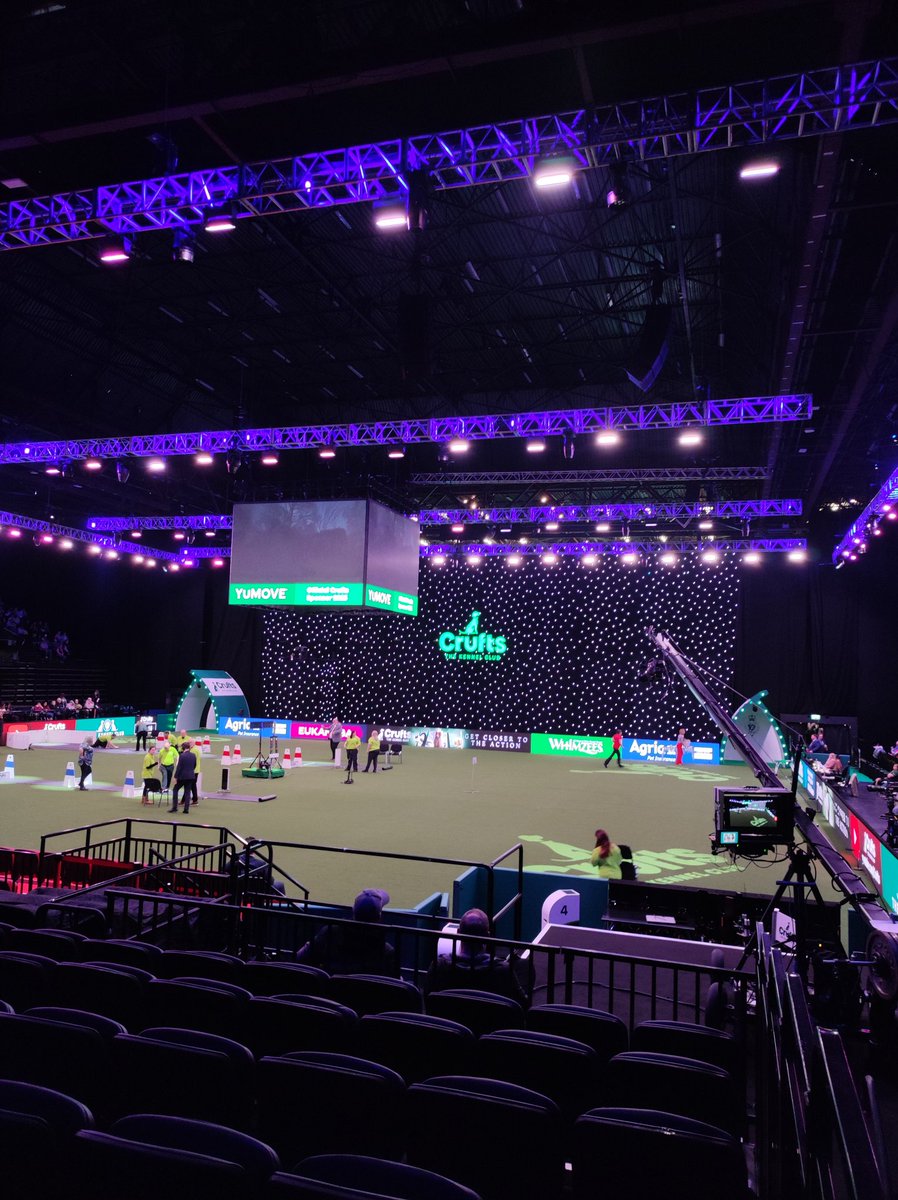 whelk_milk's tweet photo. 20 minutes to go! Live on channel 4, but I'm here more nervous than she is. #Crufts #bfa #ukfl #flyball https://t.co/ctsunCztbN