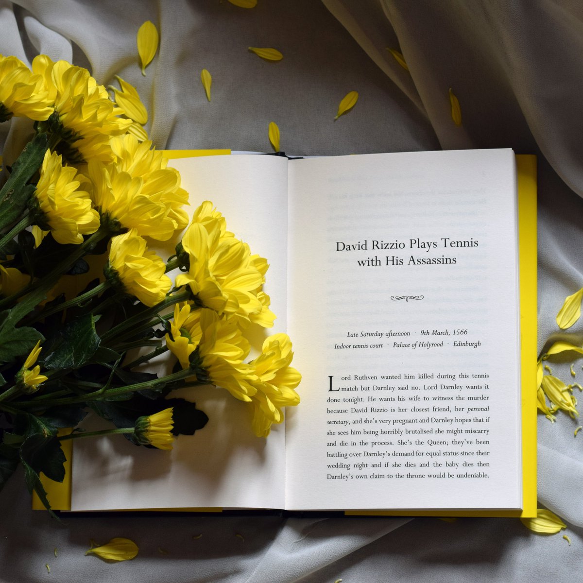 Polygon Books tweet media