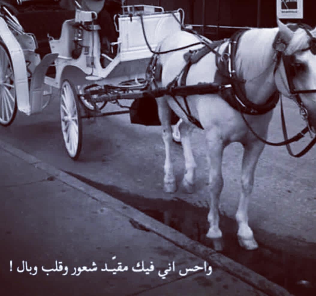bnh661's tweet photo. #الحب_كم_مره_بالعمر

#خواطر_حب #خواطر_جميله https://t.co/yzwh7uamEn