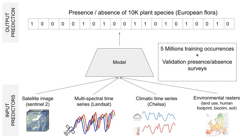 The GeoLifeCLEF23 competition is open! Submit you predictions for plant species presence/absence using satellite images and time-series before May 17th tinyurl.com/mwacv9e8