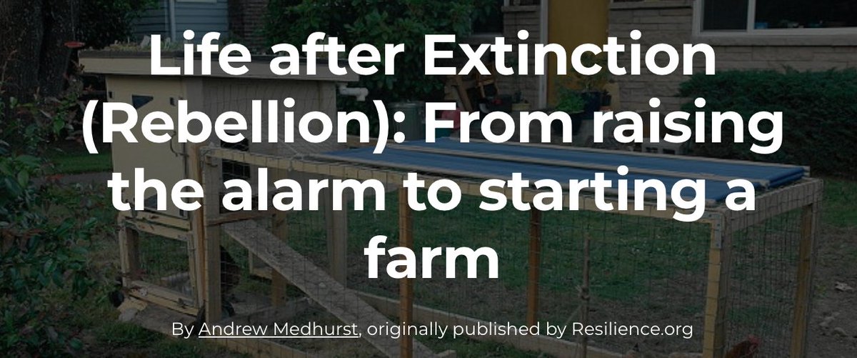 Life after Extinction (Rebellion): From raising the alarm to starting a farm

My piece on 'What Now?' for @buildresilience 

#foodsecurity #ExtinctionRebellion #collapse

resilience.org/stories/2023-0…