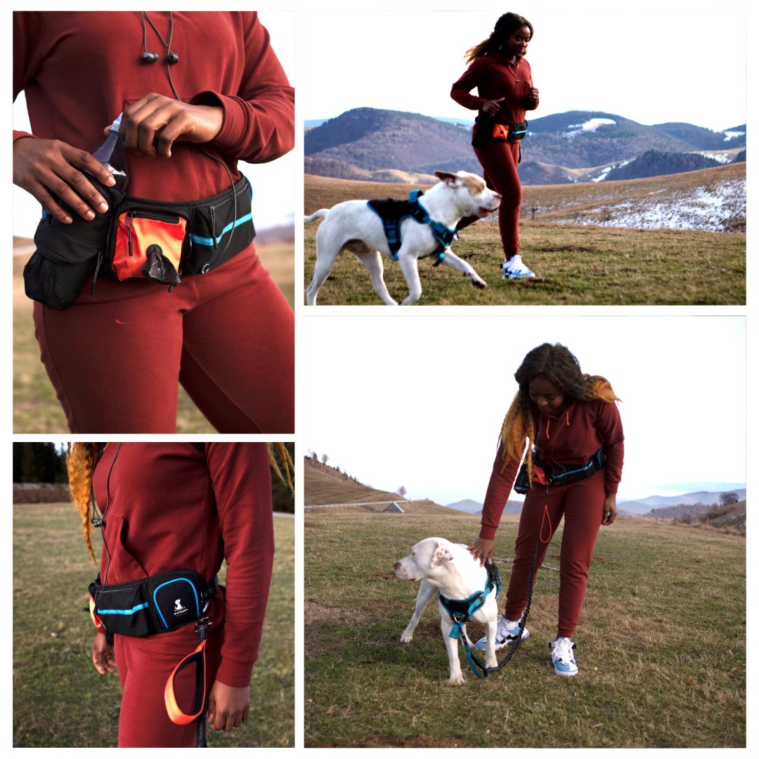 We're wagging with excitement to hear what you think of our new dog active belt pack! Send us a message if you would like to try it out and let us know how it enhances your pup's active lifestyle 🐾💪🏼

#dogs #dogsoftwitter #sparklypets