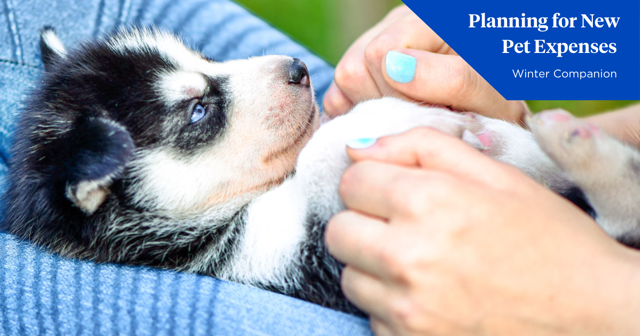 Here’s what new pet owners can expect from the first year with a new pooch or kitty: spr.ly/60183LXuj