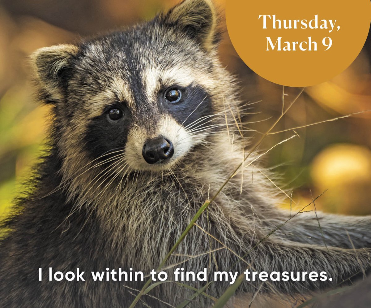 Daily affirmation: I look within to find my treasures.