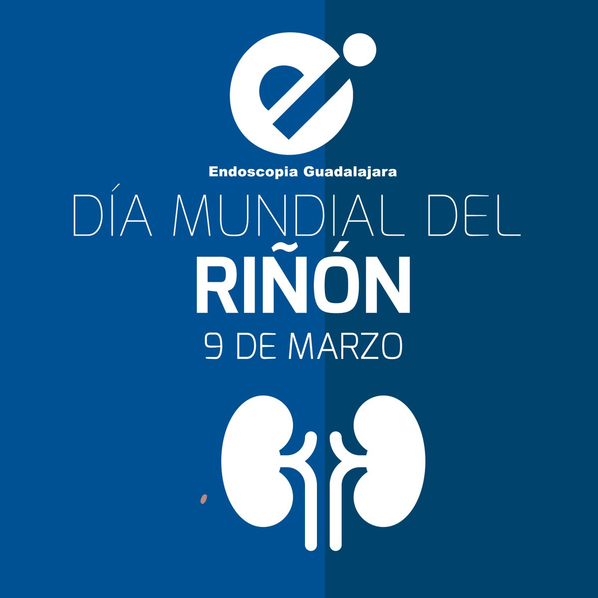 Hoy se conmemora al riñón, uno de los órganos más funcionales de nuestro cuerpo. #DiaMundialDelRiñon 
.
.
#Laser #Urosome #RIRS #PCNL #ECIRS #Urology #HolmiumLaser #Urologia #EndoUrologia #Urologiamexico