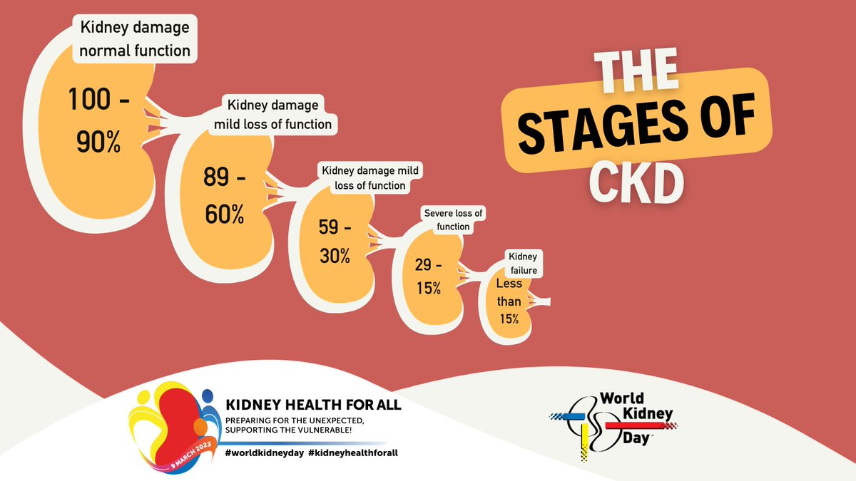 Usually, #kidneydisease starts slowly and silently and progresses over several years. However, not everyone progresses from Stage 1 to Stage 5! Read more about #CKD ➡️ worldkidneyday.org/facts/chronic-… #WorldKidneyDay #KidneyHealthForAll