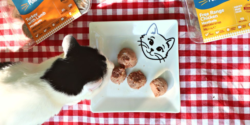 Happy National Meatball Day! While you enjoy your delicious meatballs, don't forget to treat your furry friends to our rawlicious PURRY POWER BALLS for cats!

When you feed Tabby's Table, happy purrs guaranteed! 🐱 Don't say we haven't warned ya!

#rawfedcats #happycats #feedraw