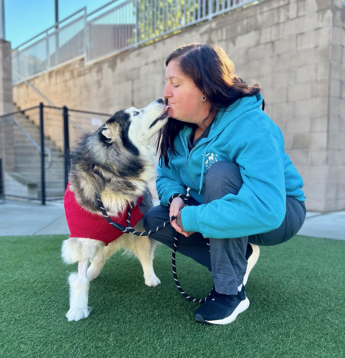 SPCAmc's tweet image. What an amazing day! Stay tuned to @ksbw_8 &amp;amp; Central Coast ABC  to see how your donations help animals in need. A huge woof, purr, and thank you to MCSI Water Systems Management &amp;amp; Peartree + Belli Architects for sponsoring A Day of Giving!  spcamc.org/give-today #spcamc