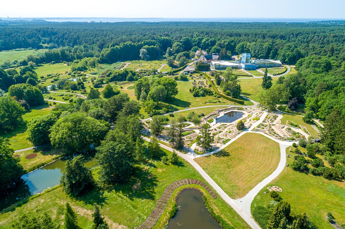 Biotoopia1's tweet photo. The hybrid conference will take place at Tallinn Botanic Garden where plants are displayed against the northern and north-western background of mixed pine and oak forest, and the pond among coniferous trees is the habitat of many whitewater lilies. 

#ecoaesthetics  #landscape https://t.co/V93Bv6o5u3
