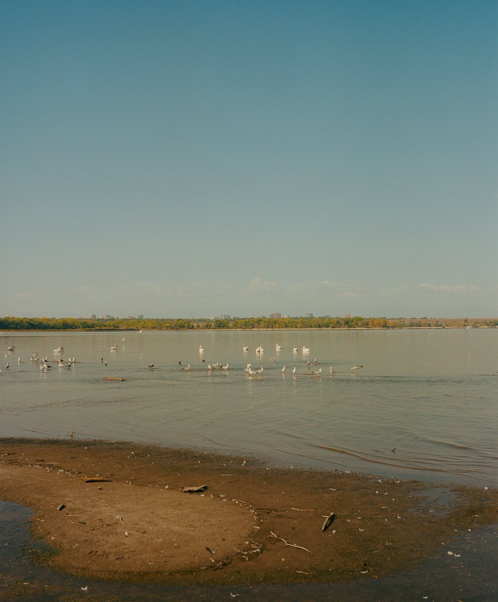 A walk in the park 🎞