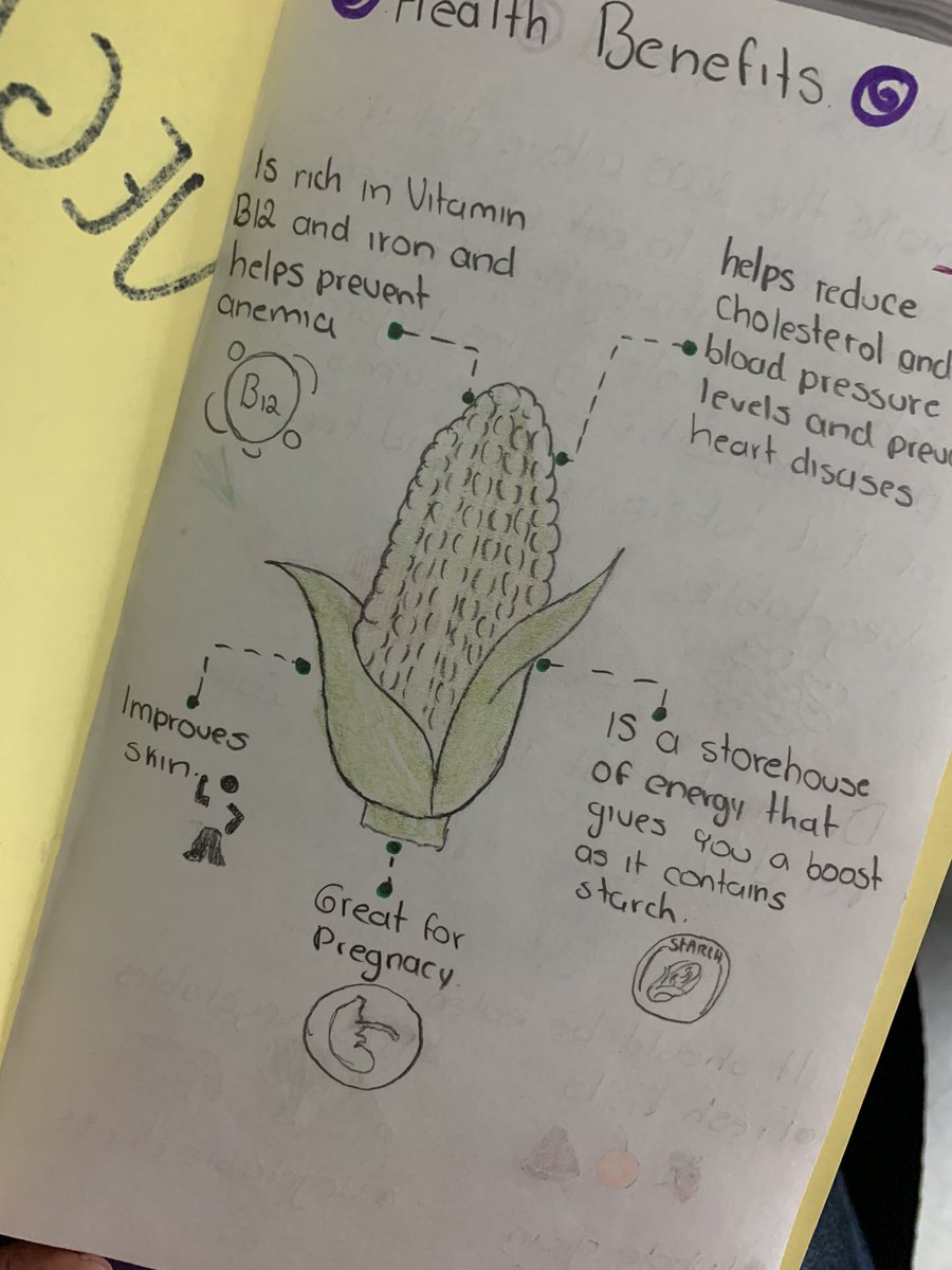 mrsgallesfcs's tweet photo. Every year I have Nutrition go back to the basics to create a book about veggies with no technology. They never disappoint. 

#sayyestofcs #fcstn #fcseducation #fcsteacher #familyandconsumerscienceteacher #nutrition #vegetables #technologybreak https://t.co/bkS7iuJt9G