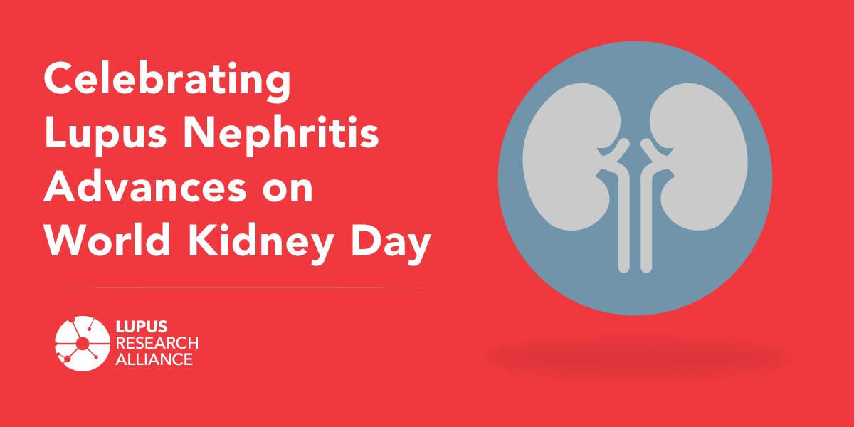 LupusResearch's tweet photo. Today is #WorldKidneyDay, and we celebrate the many advances in treating lupus nephritis – inflammation of the kidney caused by #lupus.

🧵1of2 https://t.co/gVybtgJiDj