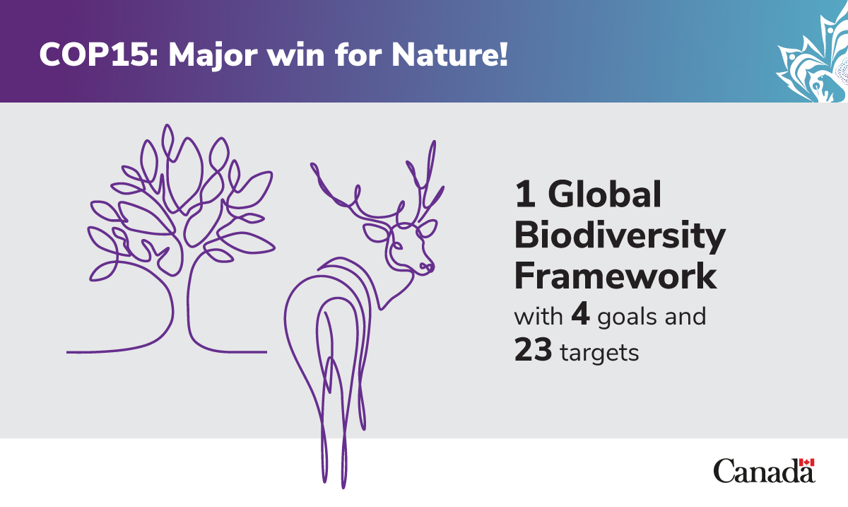 environmentca's tweet photo. #COP15 was a major win for #nature in Canada 🇨🇦 and around the world! 🌍 30x30! 

Check out some of the highlights: 

#ForNature #ProtectNature #biodiversity #NatureOnTheHill https://t.co/x2vv7hit8a