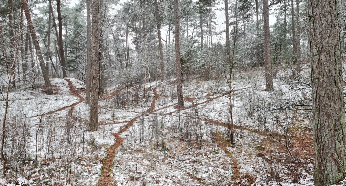 Door de gevallen sneeuw was het goed te zien waar het wild in het Park vaak langs loopt, via de zogeheten wildwissels. De platgetrapte bladeren isoleren minder goed dan losse bladeren, waardoor de sneeuw minder goed blijft liggen boven de warme bosgrond.
