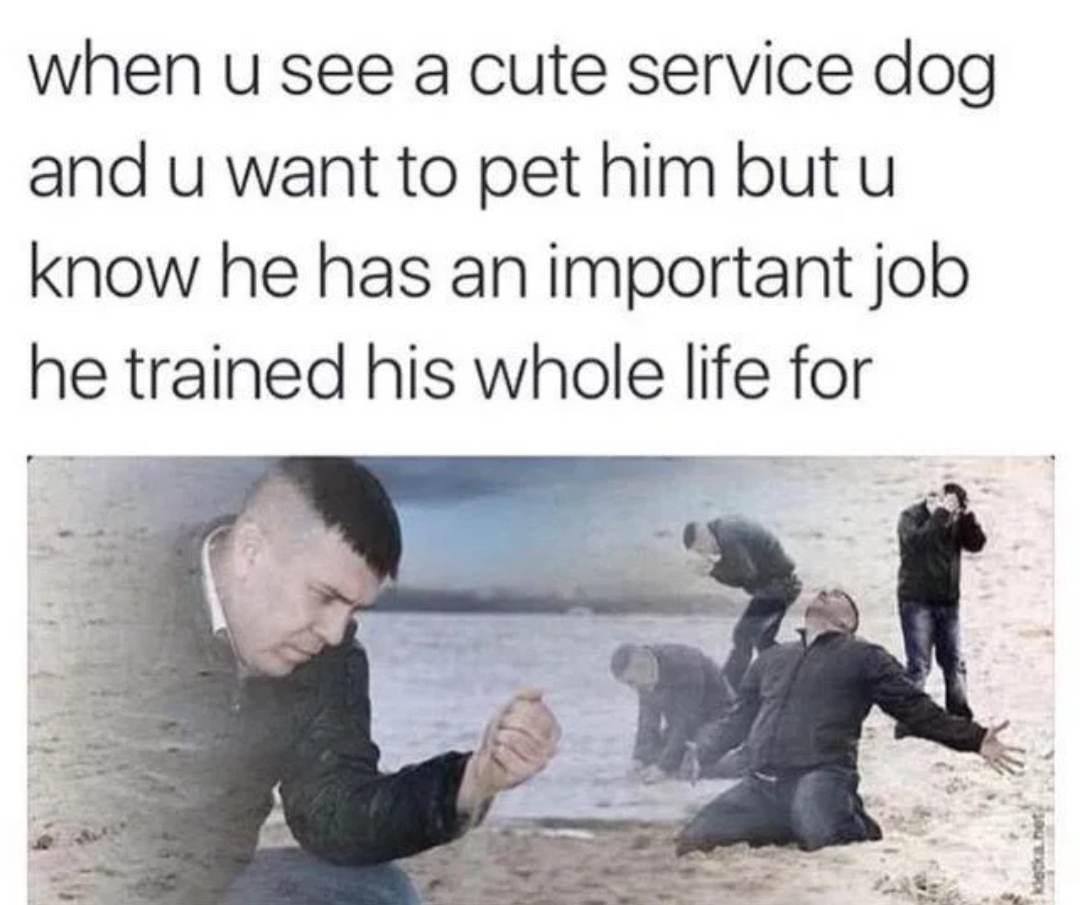 meggo (@meggo424) on Twitter photo 