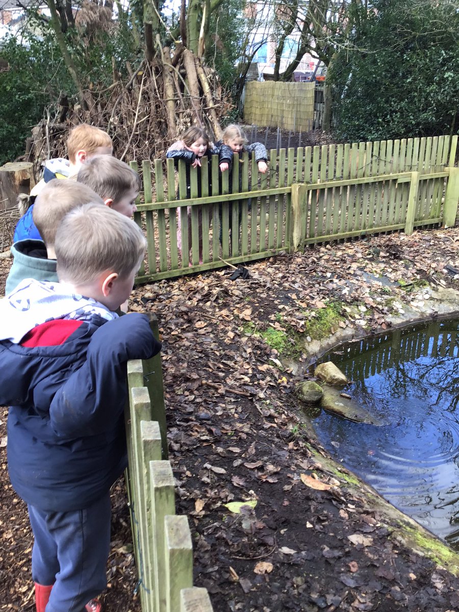 ForestSchBPS's tweet photo. @VanGogh_BPS spent their forest school looking at frogs and frogspawn this forest school. They have set up an aquarium to monitor their growth. https://t.co/dX2kRNNVsP
