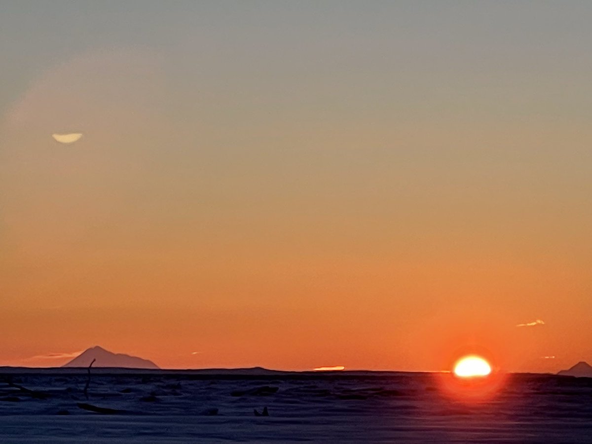 Chris Opitz tweet media