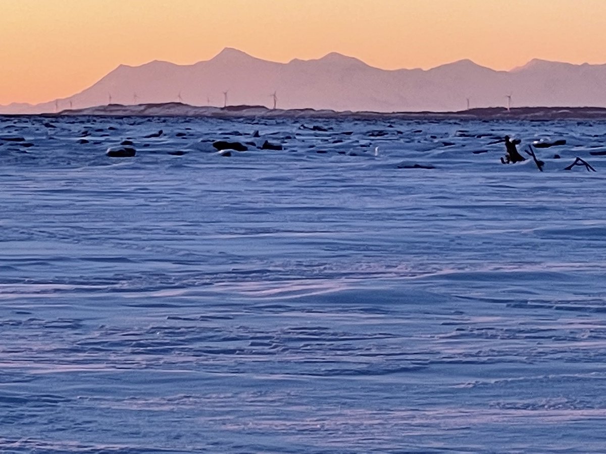 Chris Opitz tweet media