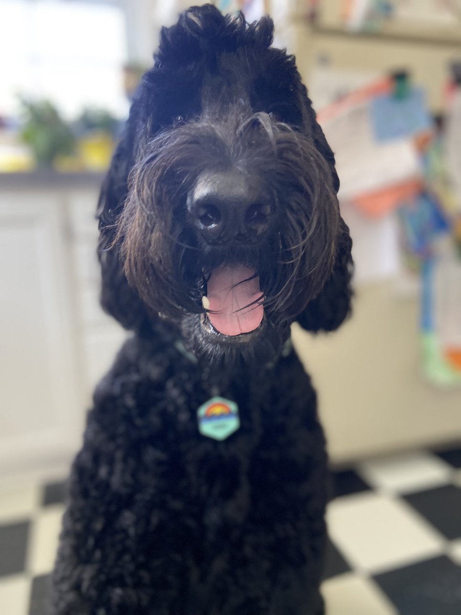 goodvimcoffee's tweet photo. This is the definition of Good Vim! We ๐ this energy! Ready for a play date soon @MSUZeke ๐พ #FerrisFace #GoodVibes #GoodVim https://t.co/kNoSwfF1kL
