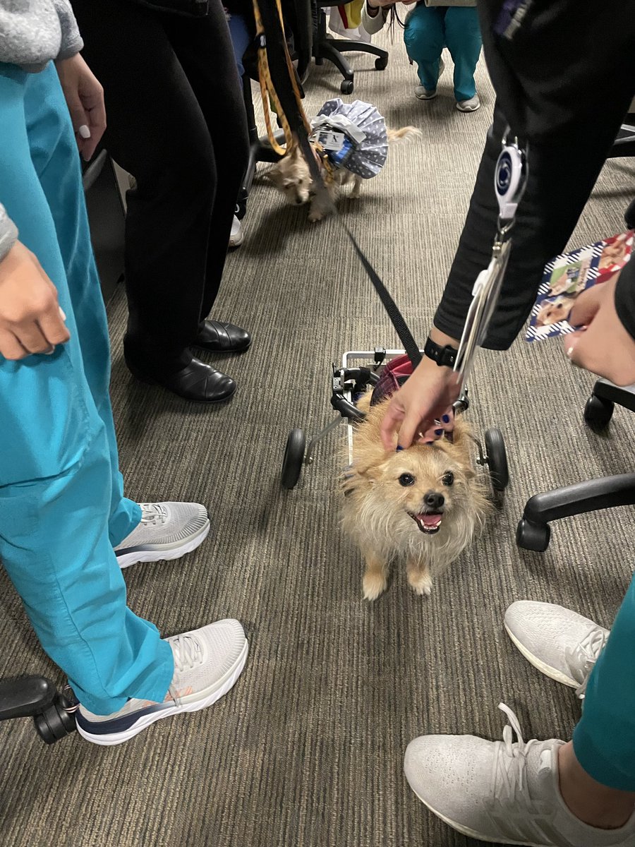 From 🍩 treats to 🐶 puppies, our residents are so excited about Resident Appreciation Week! Thank you for everything you do for the department, hospital, and patients! 🤩
