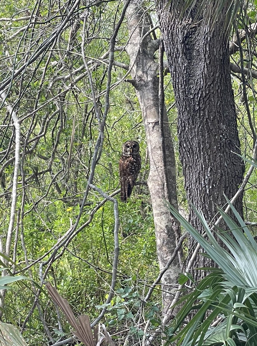 GreenSource EP, Inc. tweet media