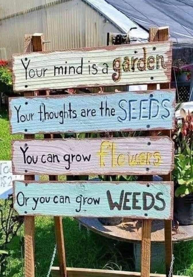 RepublicofNatu1's tweet photo. #nature #environment #algae #austainabledevelopment #greentechnology #carbonemissions #plasticpollution #ocean #earth #recycle  #human #forest #trees #wildlife #renewableenergy  #climatechange #globalwarming  #watercrisis #climateaction #biodiversity #icesheetmelting https://t.co/izx4kXLJfl