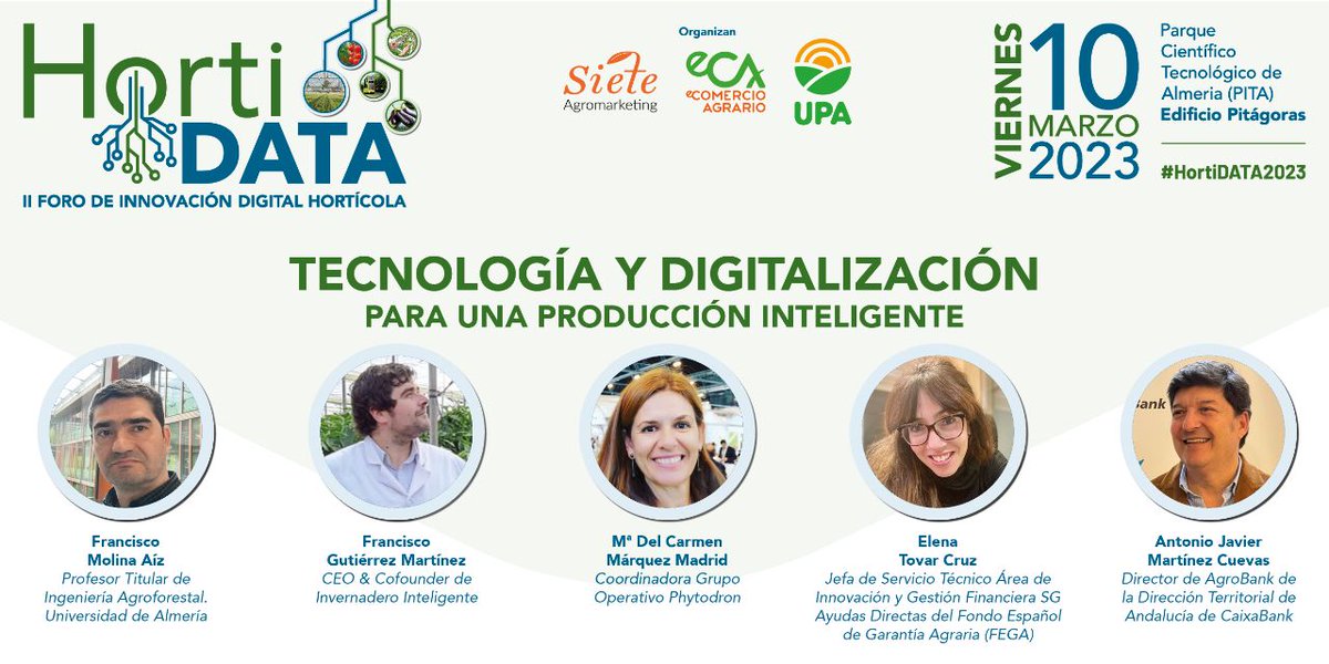 pacogutierrezm tweet media