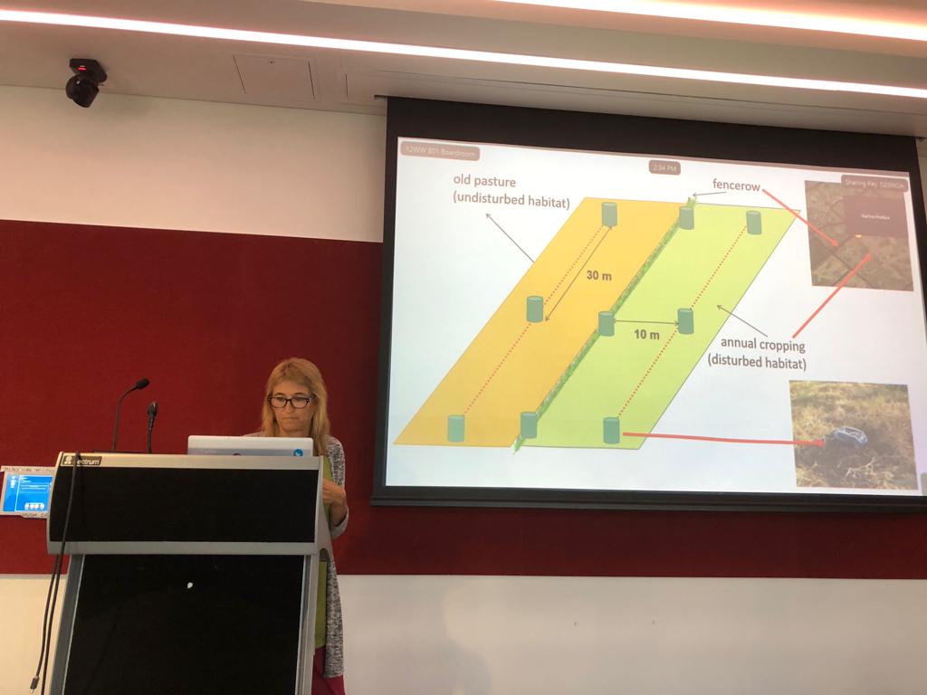 FAUBA_Internac's tweet photo. Les acercamos la experiencia de la Dra. Karina Hodara en la Universidad de Macquarie en el marco de la Beca #UBAINT de @ubaglobal
We share the experience of Dr. Karina Hodara reunited with Prof. Ayse Aisin from @Macquarie_Uni in the framework of the @ubaglobal UBAINT Fellowship https://t.co/EGJlMOtMLM