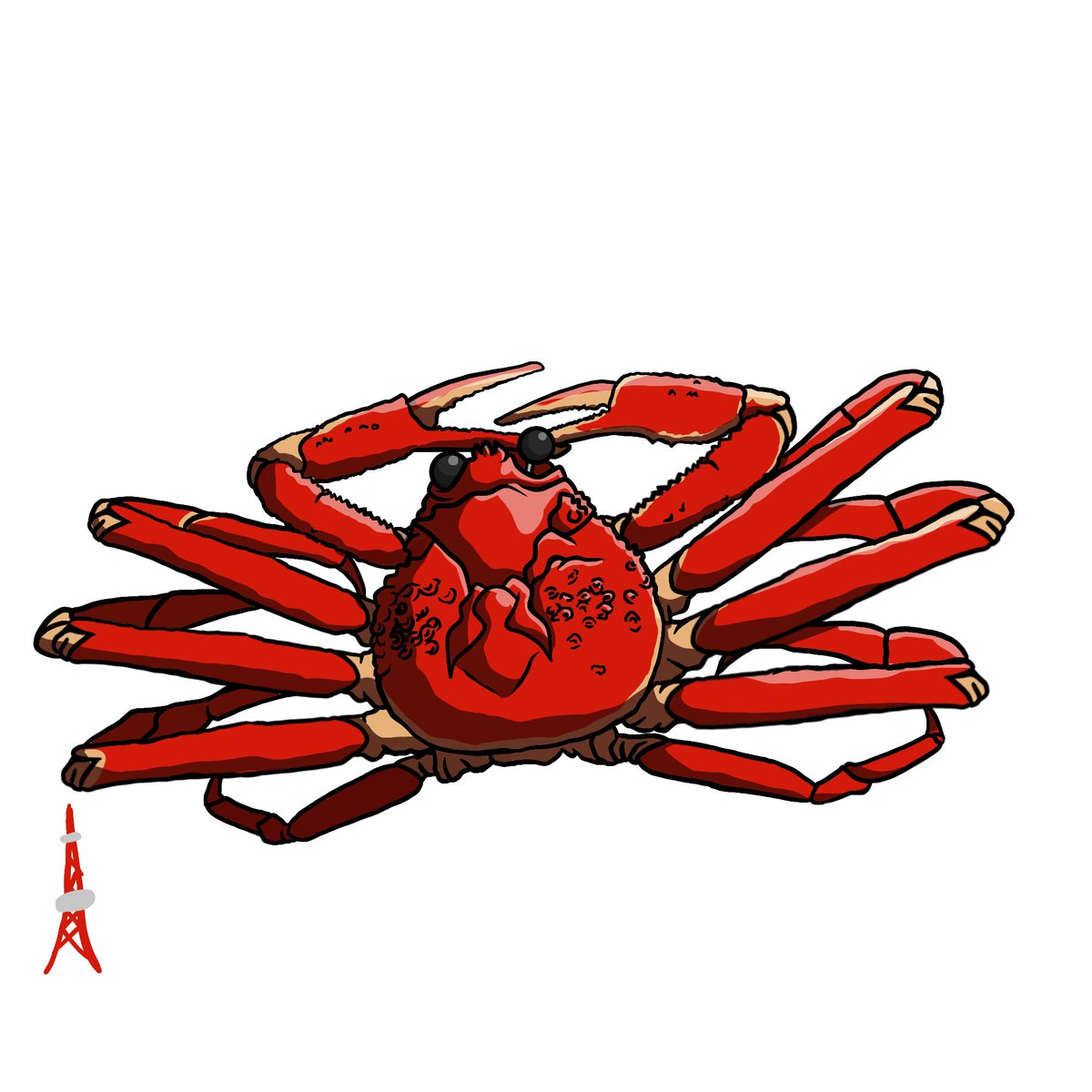 no humans crab white background simple background solo bug full body  illustration images