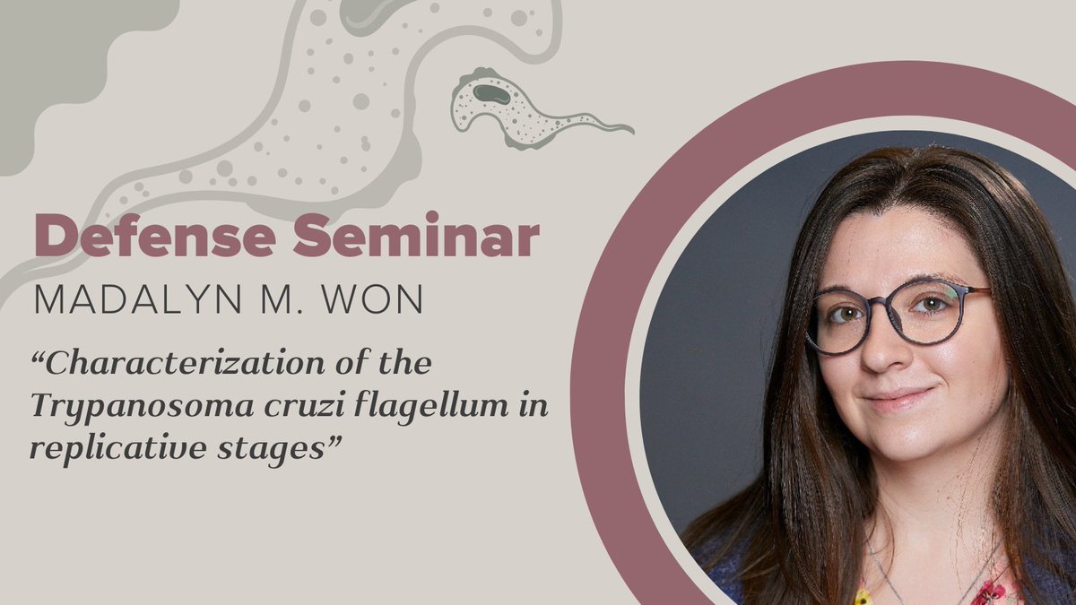 HarvardIID's tweet photo. Join us today for @madalynwon defense seminar: Characterization of the Trypanosoma cruzi flagellum in replicative stages https://t.co/kwKLfimKdR https://t.co/Yi1cuCMkpQ