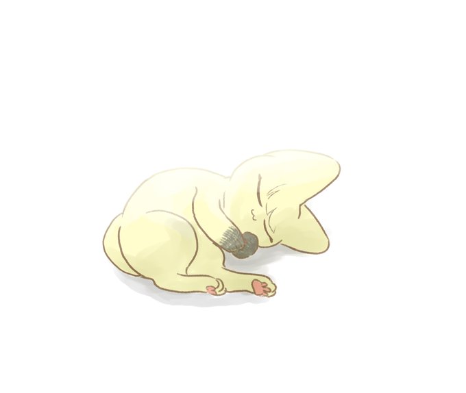 もにゃいと 