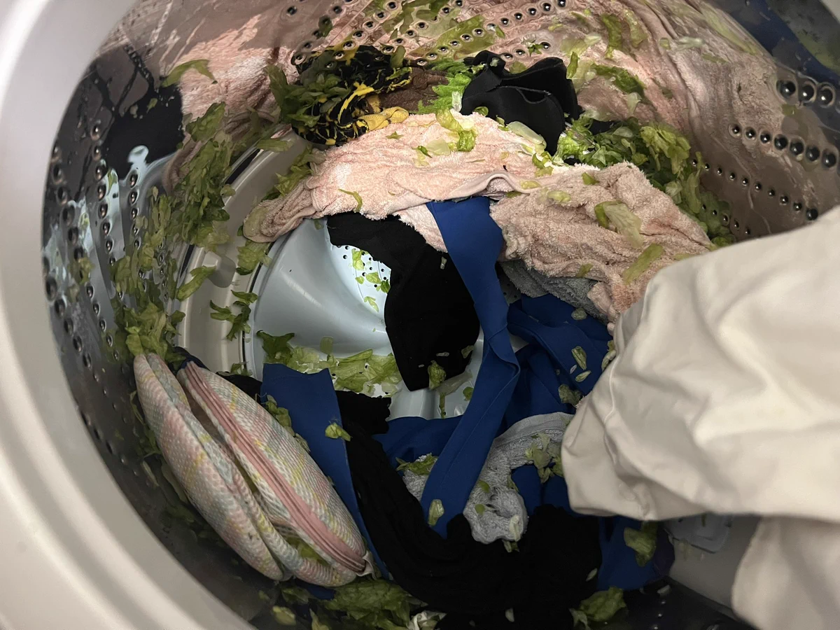 開けてびっくり。レタスを洗濯するとこうなる。