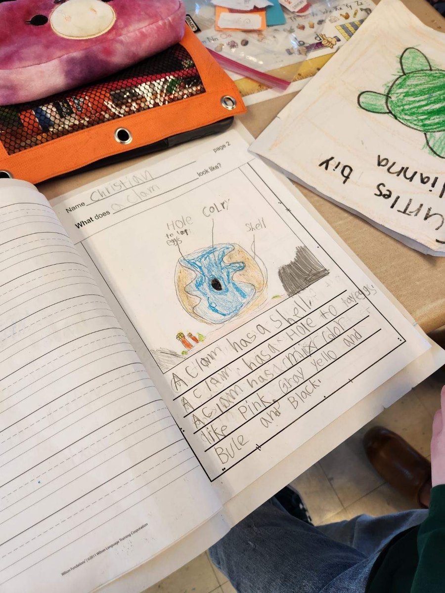 Alison Linkner tweet media