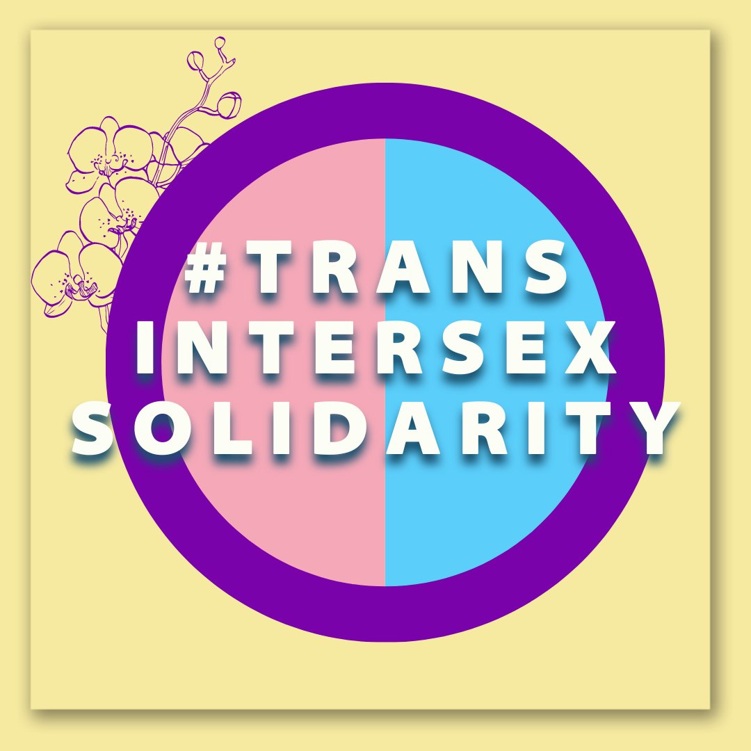 Now is the time for #TransIntersexSolidarity!!!