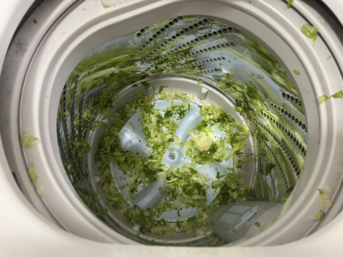 最悪なんだけど。洗濯機の中にレタスの芯が・・・。