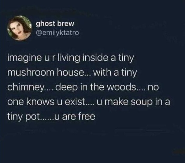 Image of this social media content