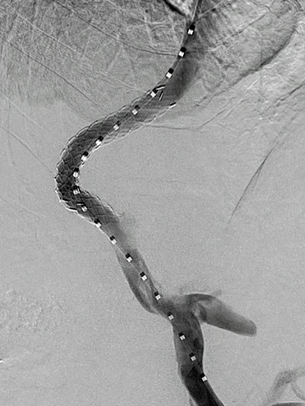 Rajesh Sasidharan tweet media