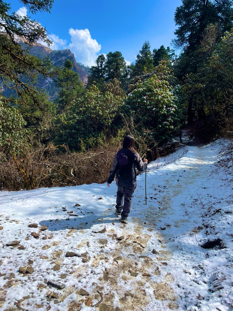 もしや高山病か？
ラダックの3000-5000m平気だったから油断してたけど今回はダイアモックス飲んで無い。
1日目1000m→2100m
2日目2100m→2800m
3日目2500m→3100m→2600m
Google先生曰く高度2000mくらいから症状出るらしい。 