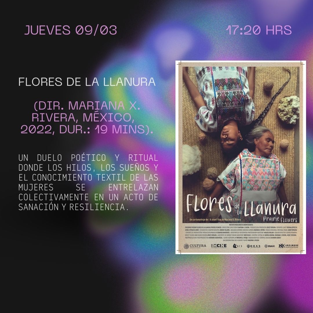 CCEntelequia's tweet photo. Estás son nuestras películas para el día de hoy, recomendamos llegar 20 minutos antes para su mayor comodidad. 

Les esperamos en: Rojo y Negro Colectivo
55 7383 9198
https://t.co/DRF7SnYvn5

#ellasprograman #cine #cinemexicano #cineclub #8M2023 #8M https://t.co/2iknp4AlbQ