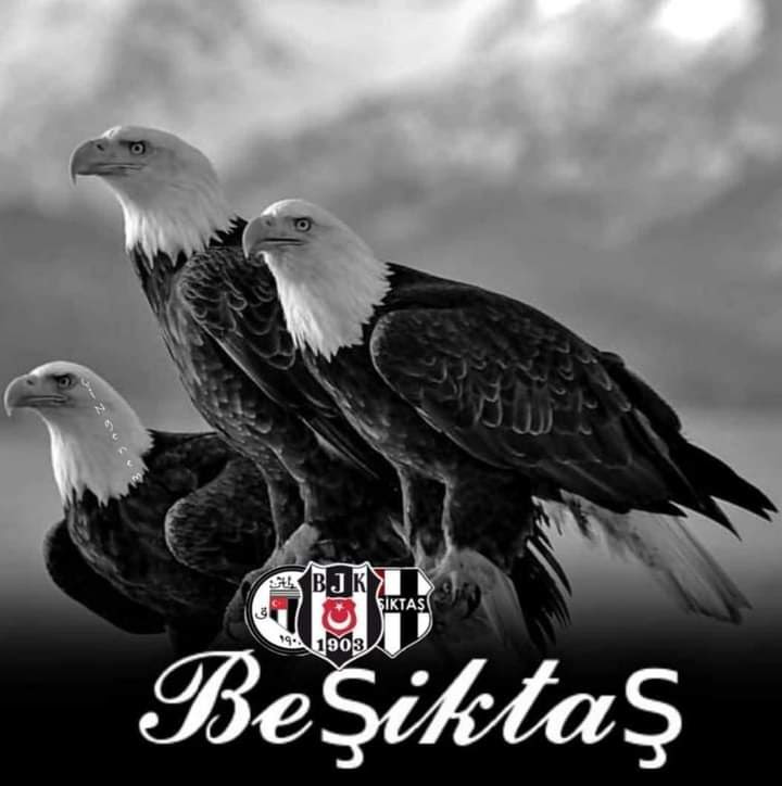 19.03
#BeşiktaşAiledir