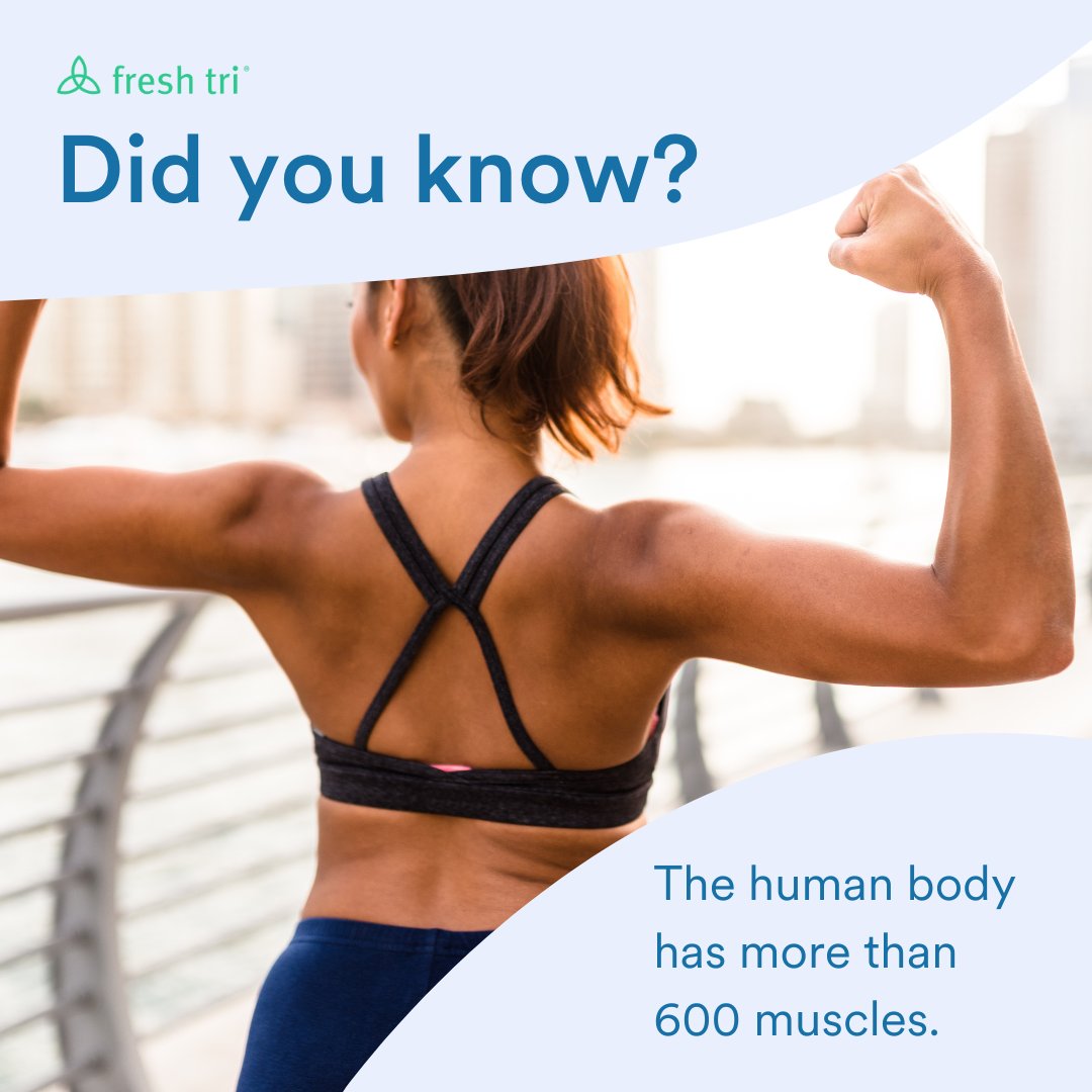 FreshTriInc's tweet image. Did you know that your body has over 600 muscles? That's a lot of potential for strength and movement! 💪

📲 Download the Fresh Tri app for more interesting facts! 

#healthyhabits #healthylifestyle #freshtricommunity #didyouknow #muscles